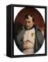 Napoleon (1769-1821) in Fontainebleau, 1846-Hippolyte Delaroche-Framed Stretched Canvas