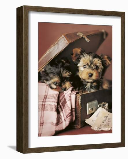 Napoleon and Romeo-Rachael Hale-Framed Photo