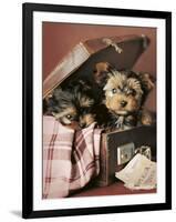 Napoleon and Romeo-Rachael Hale-Framed Photo