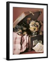 Napoleon and Romeo-Rachael Hale-Framed Photo