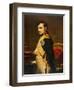 Napoleon as Emperor in His Study Circa 1807-null-Framed Photographic Print