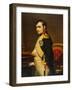 Napoleon as Emperor in His Study Circa 1807-null-Framed Photographic Print