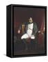 Napoleon at Fontainebleau During the First Abdication-Paul Delaroche-Framed Stretched Canvas