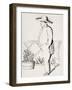 Napoleon at St Helena, Based on a Drawing of an English Officer, July 24, 1820. 19th Century-null-Framed Giclee Print