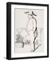 Napoleon at St Helena, Based on a Drawing of an English Officer, July 24, 1820. 19th Century-null-Framed Giclee Print