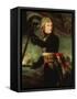 Napoleon Bonaparte 1769-1821 at the Pont d'Arcole-Antoine Jean Gros-Framed Stretched Canvas