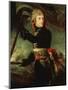 Napoleon Bonaparte 1769-1821 at the Pont d'Arcole-Antoine Jean Gros-Mounted Giclee Print