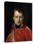 Napoleon Bonaparte as First Consul, c.1803-Joseph-marie Vien The Elder-Stretched Canvas