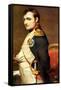 Napoleon Bonaparte, French General and Emperor-Paul Delaroche-Framed Stretched Canvas