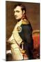 Napoleon Bonaparte, French General and Emperor-Paul Delaroche-Mounted Giclee Print