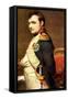 Napoleon Bonaparte, French General and Emperor-Paul Delaroche-Framed Stretched Canvas