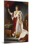 Napoleon Bonaparte in Coronation Regalia. Copy-Francois Gerard-Mounted Premium Giclee Print