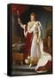 Napoleon Bonaparte in Coronation Regalia. Copy-Francois Gerard-Framed Stretched Canvas