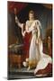 Napoleon Bonaparte in Coronation Regalia. Copy-Francois Gerard-Mounted Giclee Print