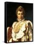 Napoleon Bonaparte in Emperor's Rodes-Francois Gerard-Framed Stretched Canvas