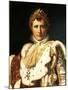 Napoleon Bonaparte in Emperor's Rodes-Francois Gerard-Mounted Giclee Print