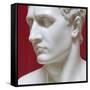 Napoleon Bonaparte marble sculpture by Antonio Canova-Antonio Canova-Framed Stretched Canvas