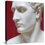 Napoleon Bonaparte marble sculpture by Antonio Canova-Antonio Canova-Stretched Canvas