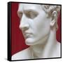 Napoleon Bonaparte marble sculpture by Antonio Canova-Antonio Canova-Framed Stretched Canvas