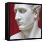 Napoleon Bonaparte marble sculpture by Antonio Canova-Antonio Canova-Framed Stretched Canvas