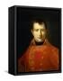 Napoleon Bonaparte's Portrait, First Consul and French Emperor, Napoleonic Era, France-null-Framed Stretched Canvas