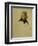 Napoleon Bonaparte, Study (1797/98)-Jacques-Louis David-Framed Giclee Print