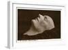 Napoleon Death Mask-null-Framed Art Print