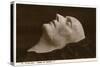 Napoleon Death Mask-null-Stretched Canvas