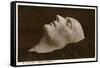 Napoleon Death Mask-null-Framed Stretched Canvas