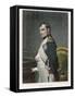 Napoleon Emperor of France in His Study Circa 1807-Paul Hippolyte Delaroche-Framed Stretched Canvas