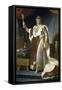 Napoleon En Costume de Sacre-Francois Gerard-Framed Stretched Canvas