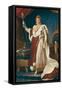 Napoleon I Bonaparte-null-Framed Stretched Canvas