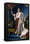 Napoleon I Emperor of France, 1804-Francois Pascal Simon Gerard-Framed Stretched Canvas