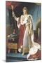 Napoleon I in His Coronation Robe, circa 1804-Francois Gerard-Mounted Giclee Print