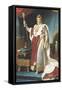 Napoleon I in His Coronation Robe, circa 1804-Francois Gerard-Framed Stretched Canvas