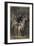 Napoleon III and Eugenia De Montijo-Stefano Bianchetti-Framed Giclee Print