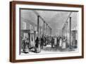 Brown Frame