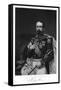 Napoleon III-Alonzo Chappel-Framed Stretched Canvas