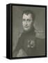 'Napoleon in 1813', (1896)-T Johnson-Framed Stretched Canvas