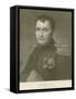 Napoleon in 1813-null-Framed Stretched Canvas