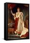 Napoleon in Coronation Robes, circa 1804-Francois Gerard-Framed Stretched Canvas