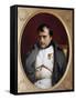 Napoleon in Fontainebleau-Paul Delaroche-Framed Stretched Canvas