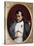Napoleon in Fontainebleau-Paul Delaroche-Stretched Canvas