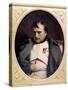 Napoleon in Fountainebleau-Paul Delaroche-Stretched Canvas