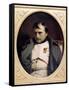 Napoleon in Fountainebleau-Paul Delaroche-Framed Stretched Canvas