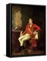 Napoleon in the Uniform of the First Consul, 1799-Francois-xavier Fabre-Framed Stretched Canvas