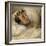 Napoleon on His Deathbed, May 1821-Horace Vernet-Framed Giclee Print