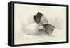 Napoleon on His Deathbed-null-Framed Stretched Canvas