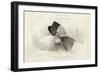 Napoleon on His Deathbed-null-Framed Art Print