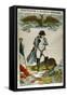 Napoleon on St Helena, 1815-1821-null-Framed Stretched Canvas